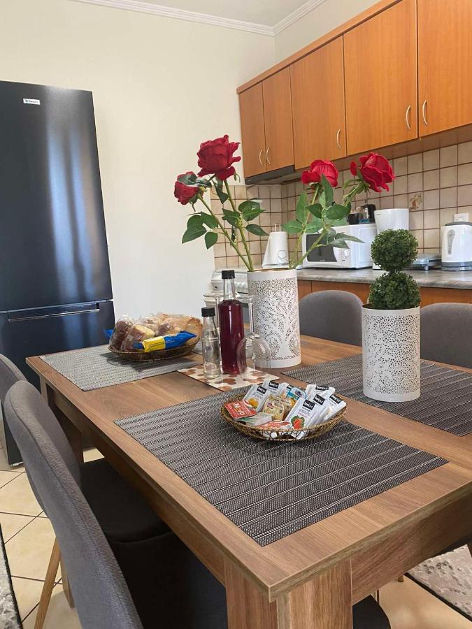 Bakopoulos Resort.Ενα Όμορφο Διαμέρισμα Με Τζάκι Tríkala المظهر الخارجي الصورة